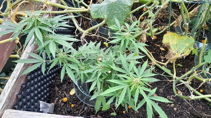 Growreport Bild 14