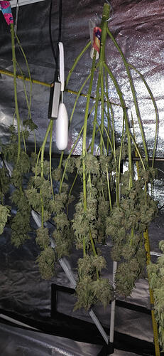 Growreport Bild 48