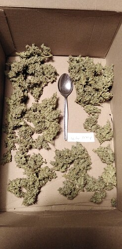 Growreport Bild 10