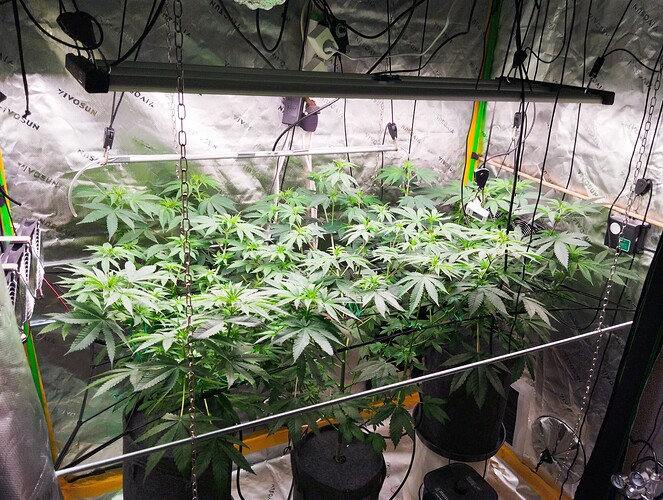 Growreport Bild 3