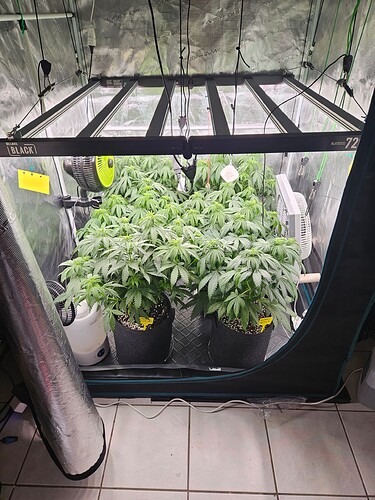 Growreport Bild 15