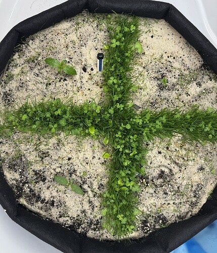 Growreport Bild 14