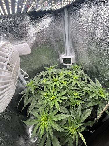 Growreport Bild 9