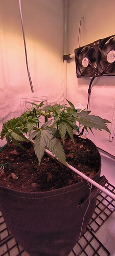 Growreport Bild 13