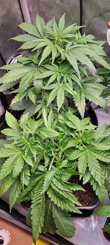 WhatsApp Image 2025-12-16 at 12.54.00 (6)