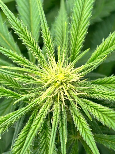 Growreport Bild 3