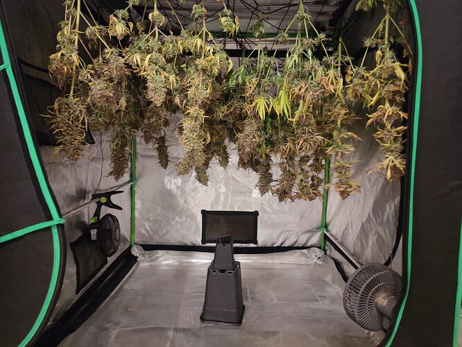 Growreport Bild 150
