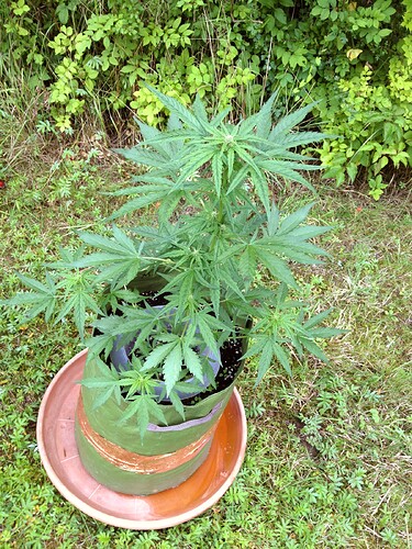 Growreport Bild 14