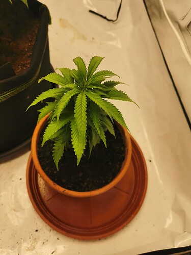 Growreport Bild 13