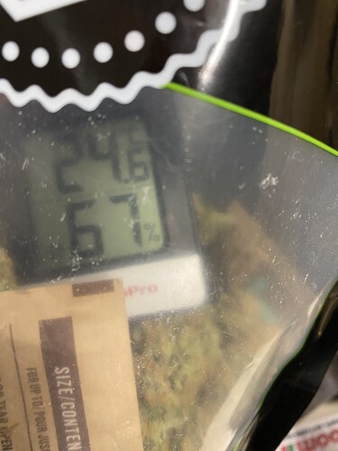 Growreport Bild 47