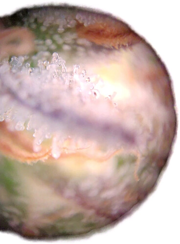 Growreport Bild 9