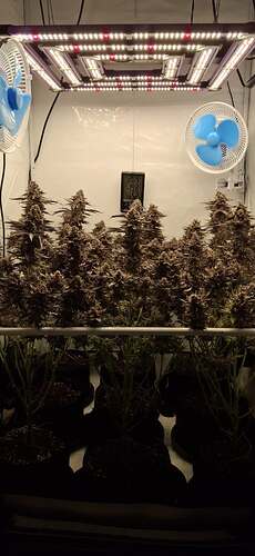 Growreport Bild 12