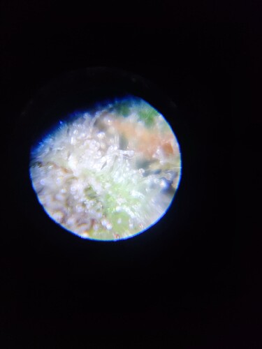 Growreport Bild 42