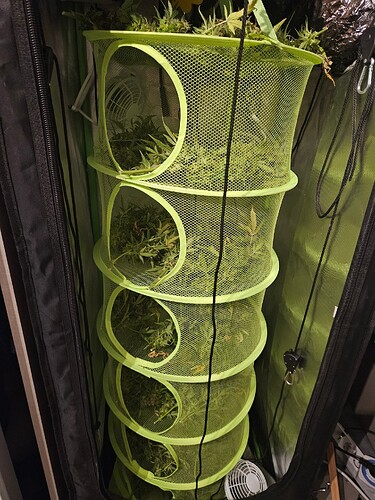 Growreport Bild 8