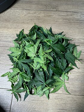 Growreport Bild 4
