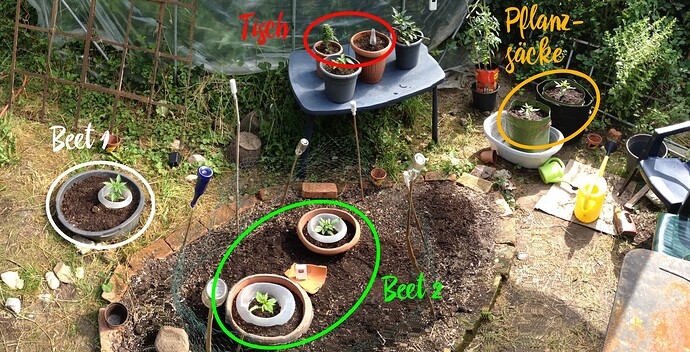 Growreport Bild 10