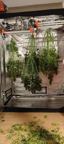 Growreport Bild 33