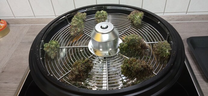 Growreport Bild 5