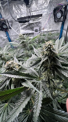 Growreport Bild 7