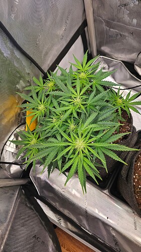 Growreport Bild 10