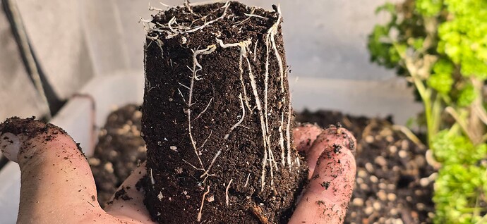 Growreport Bild 9