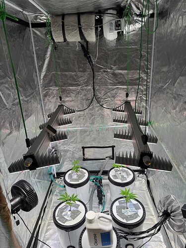 Growreport Bild 6