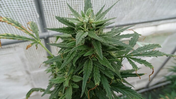 Growreport Bild 15