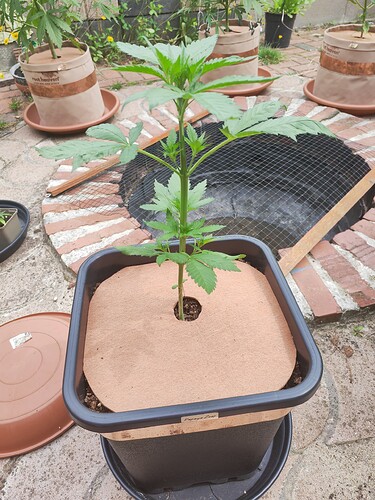 Growreport Bild 16