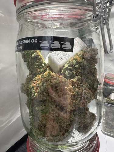 Growreport Bild 41