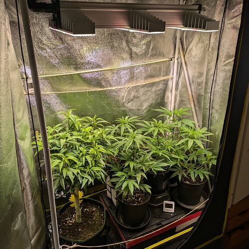Growreport Bild 7