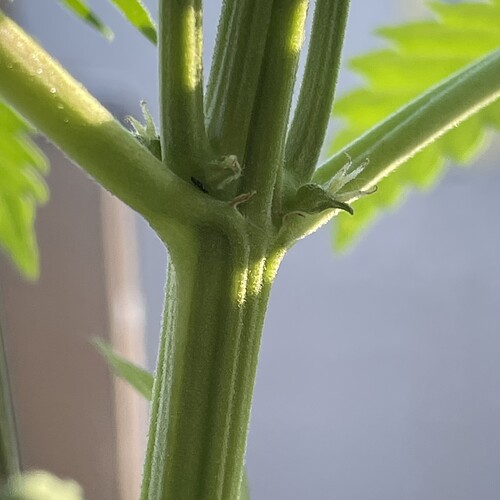 Growreport Bild 8