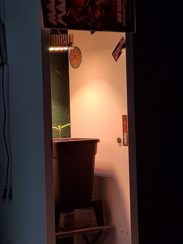 Growreport Bild 8