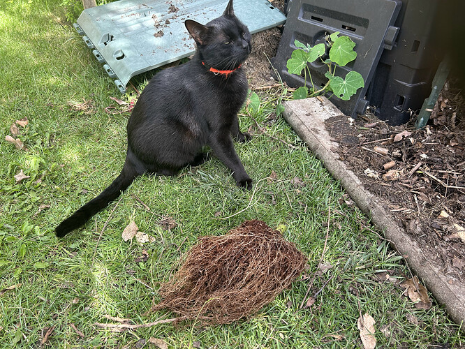 Growreport Bild 18