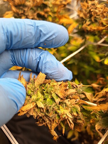 Growreport Bild 13