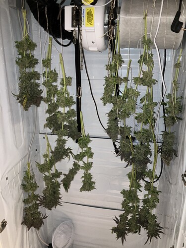 Growreport Bild 2