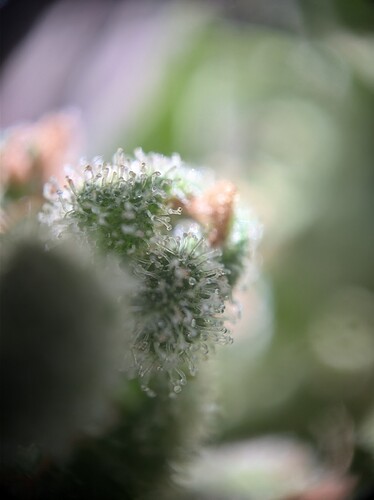 AGC_20240817_165823080.jpg_compressed