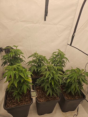 Growreport Bild 21