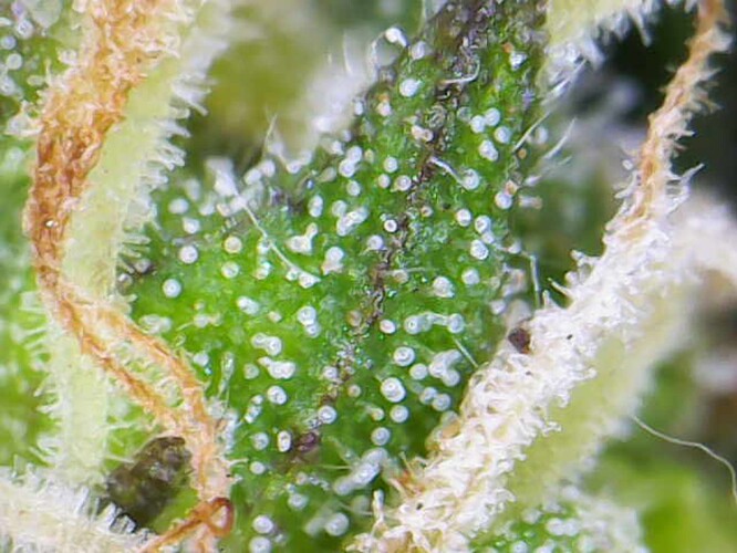 Photo_2024-06-14 09_58_26_866