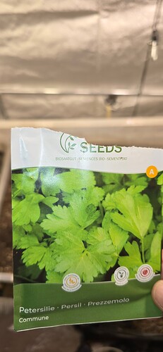 Growreport Bild 21