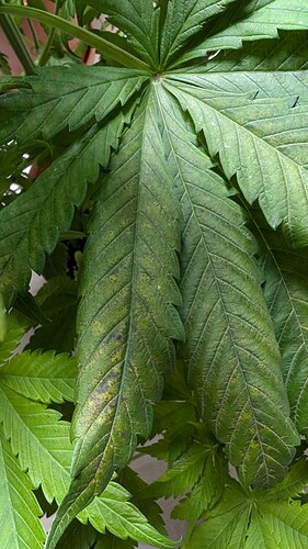 PXL_20241008_153513230