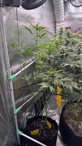 Growreport Bild 16