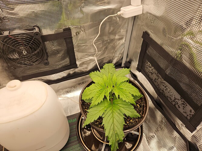 Growreport Bild 16