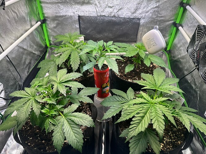 Growreport Bild 9