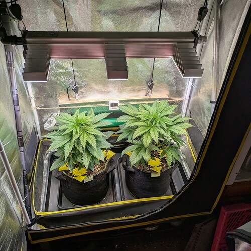 Growreport Bild 17