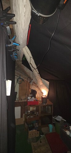 Growreport Bild 42