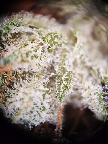 Growreport Bild 10