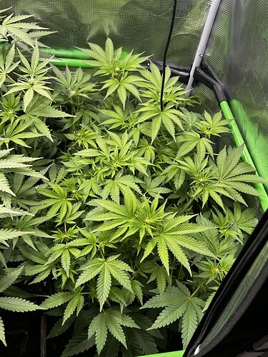Growreport Bild 22