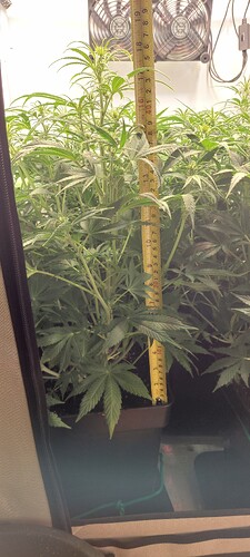 Growreport Bild 10