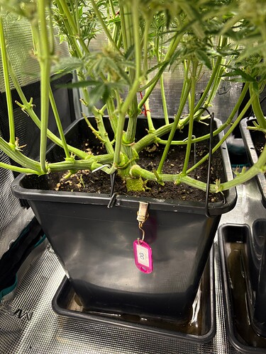 Growreport Bild 10