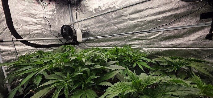 Growreport Bild 13